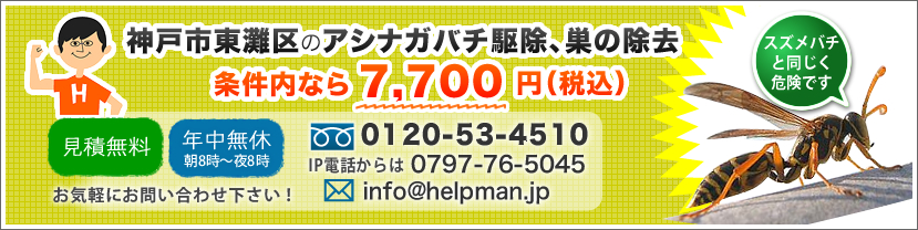 神戸市東灘区のアシナガバチ駆除、巣の除去。安心価格でお受けいたします！